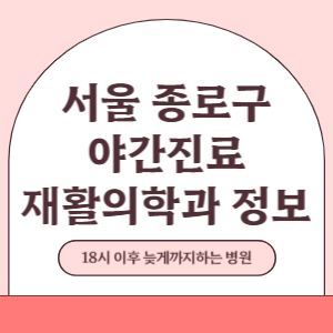 서울 종로구 야간진료 재활의학과 병원 (18시 이후 늦게까지하는 병원)