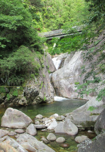 2025 가을 소백산 단풍 절정 &amp; 등산코스 가이드 ❘ 비로봉&middot;천동 코스&middot;주차장 정보