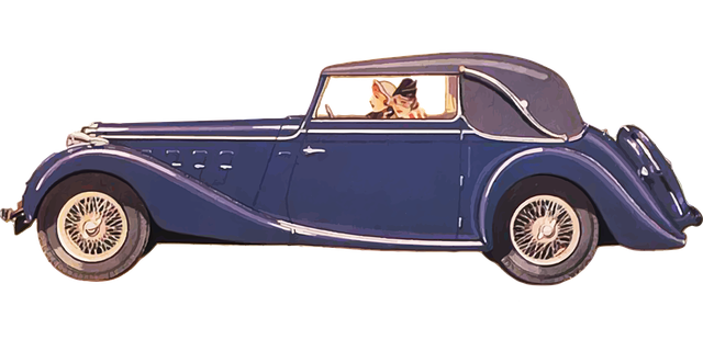 국제운전면허증 발급비용&amp;#44; 지역별 차이는? 최신 정보 확인!