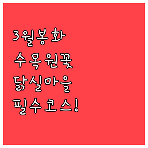 3월 봉화 가볼만한곳 국립백두대간수목..