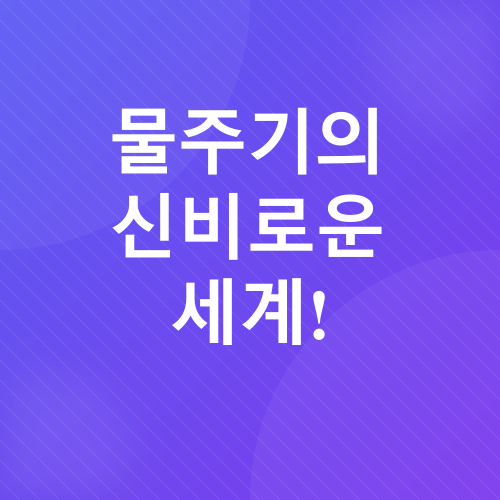 실내식물 관리_1