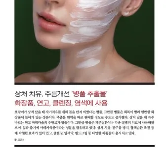 병풀 상처연고 상처 치유 피부 재생 효능과 사용법_11