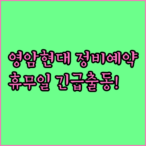 영암 현대자동차 정비 예약 방법 및 ..