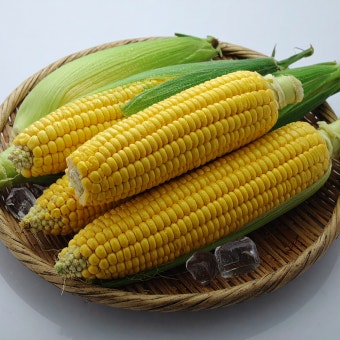 초당옥수수란? 유명 산지(의령&amp;#44; 밀양 등)