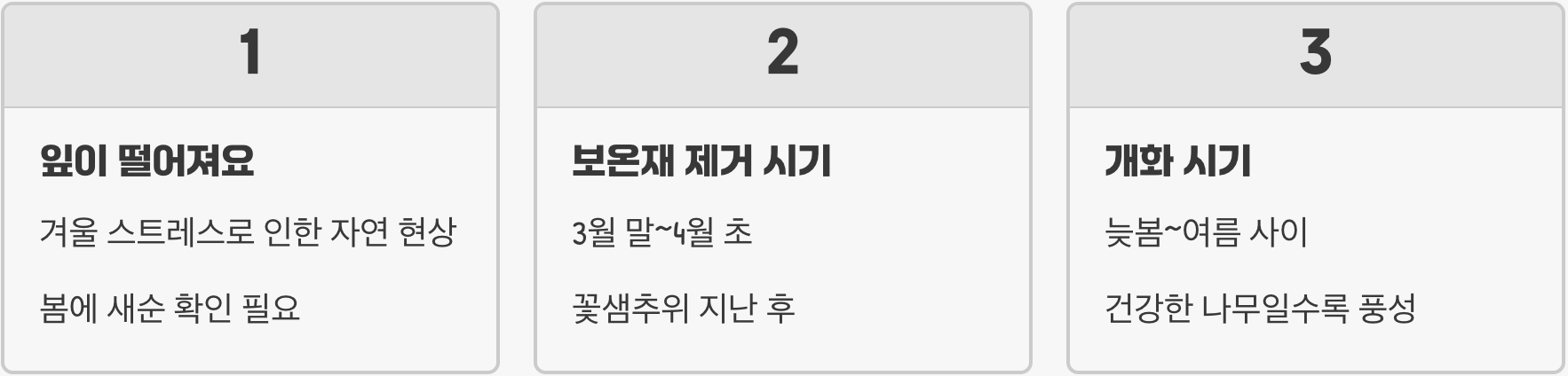 병솔나무 노지 월동, 성공과 실패를 가르는 결정적 차이