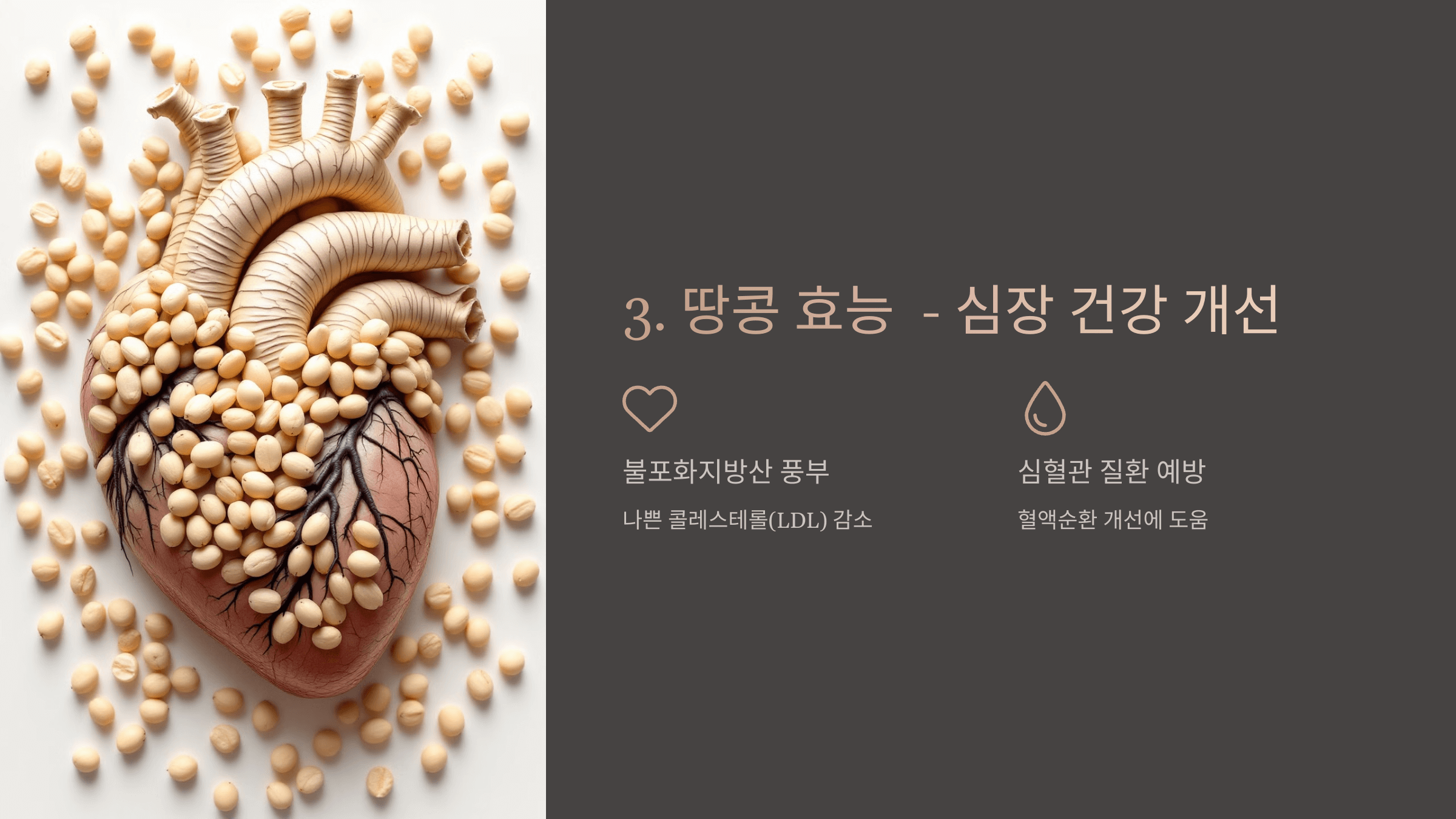 땅콩 사진입니다.