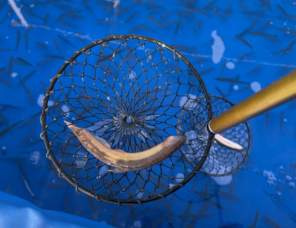 뚝섬한강공원 눈썰매장