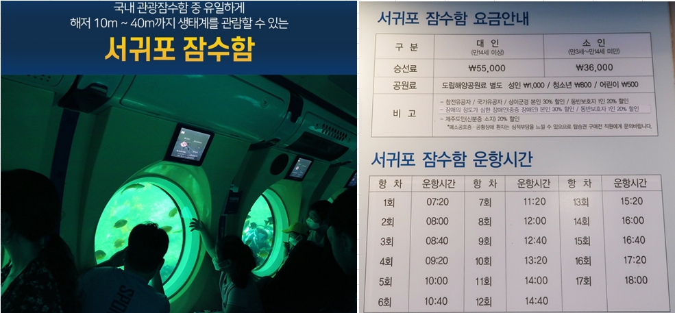 국내여행 제주도