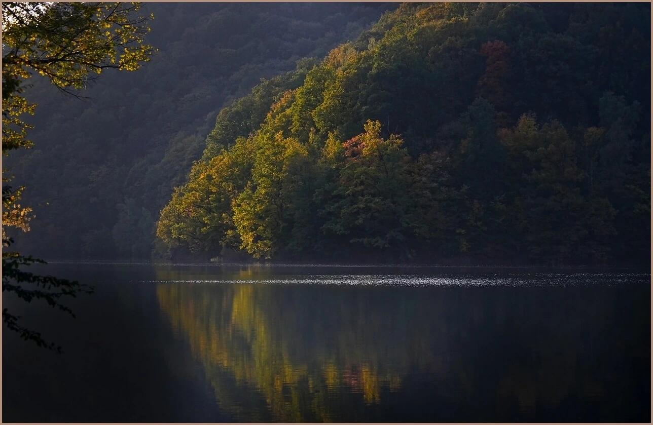 국민은행 정기예금 금리