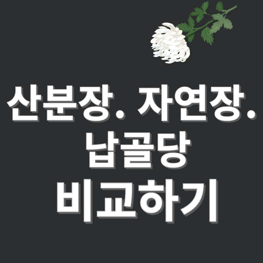산분장-자연장-납골당-비교하기