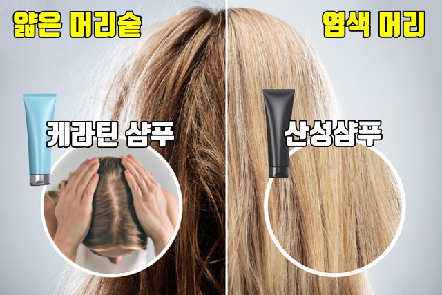 머리숱 많아지는법,두피관리,케라틴 샴푸,산성샴푸,헤어 팁줌