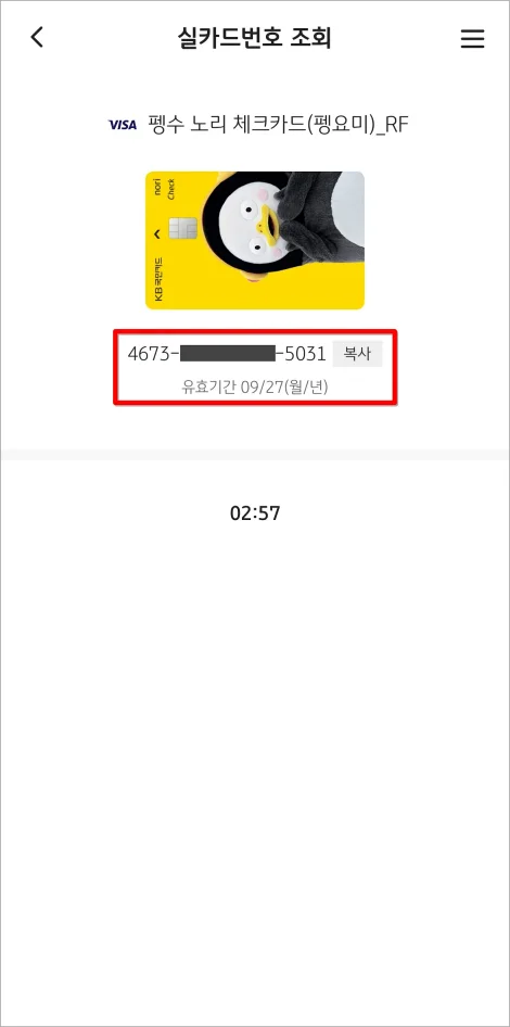 조회된 카드번호와 유효기간을 확인