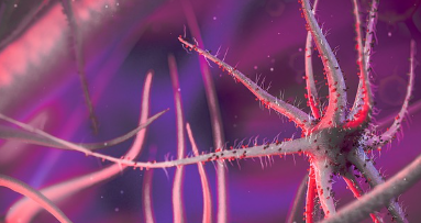 엠폭스-백신-관련주