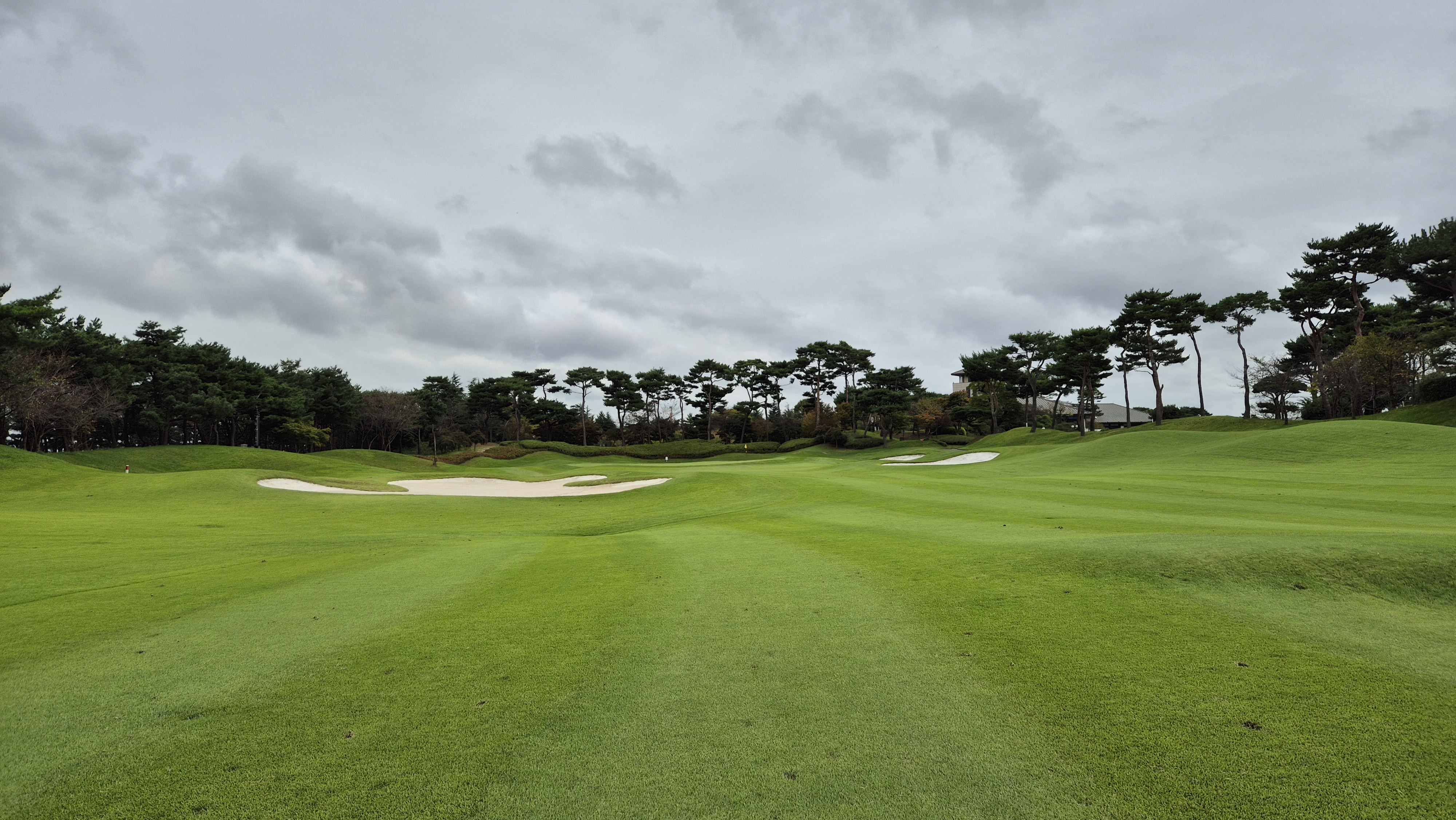 파인스톤cc 파인 코스