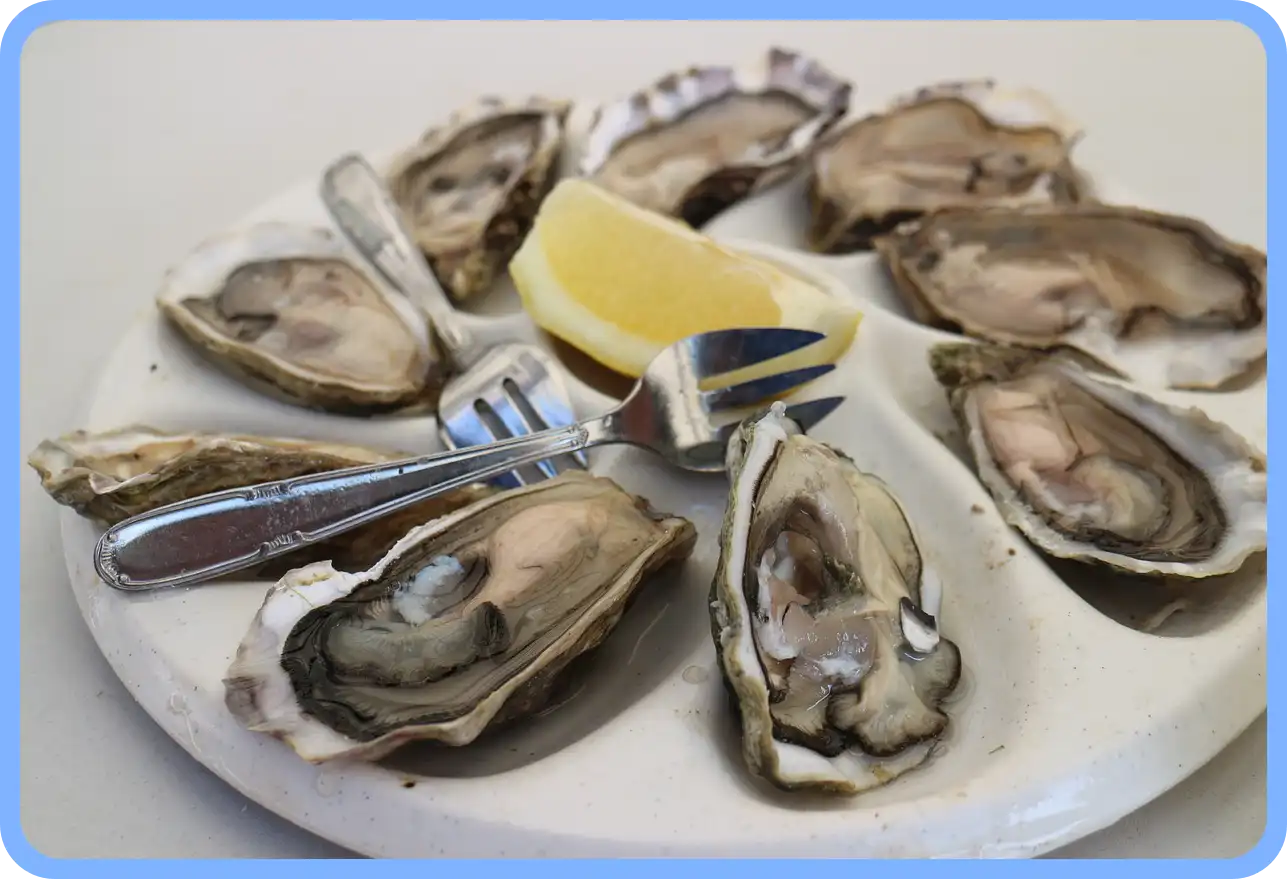 멸치젓 새우젓 굴 천일염 김장 재료 할인 세일 50% 코리아 수산 페스타