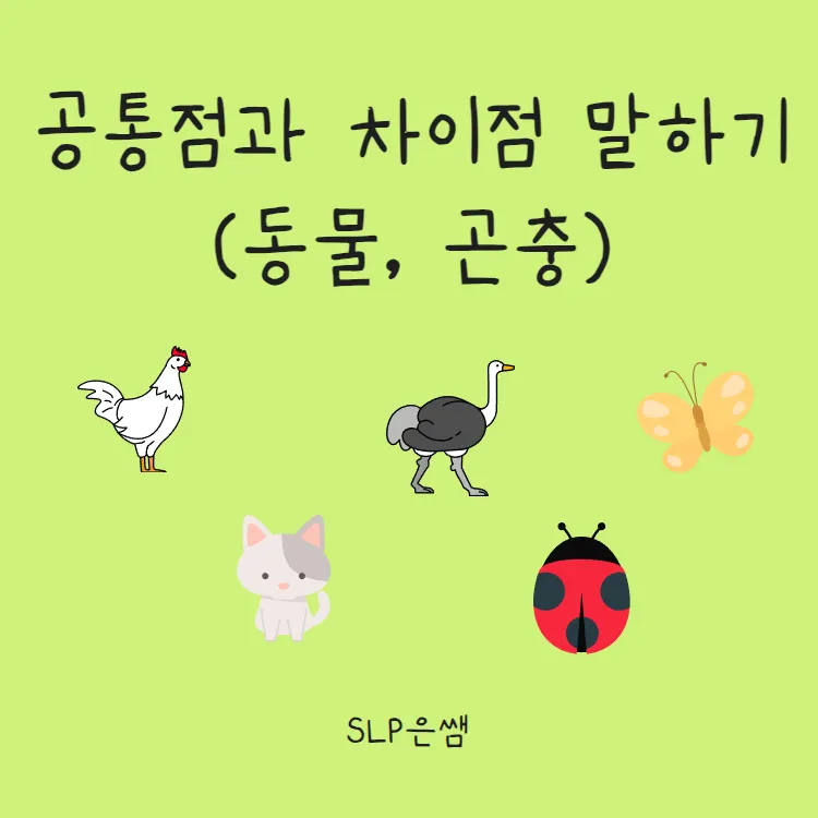 곤충과 동물의 차이점 생물 분류 기준과 이해 돕기_3
