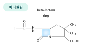 베타-락탐 항생제