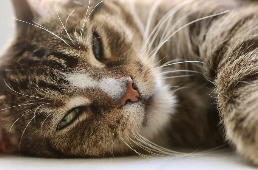 숙취 원인과 해소법: 괴로움 없는 다음 날을 위한 완벽 가이드