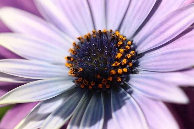 도장 스캔해서 배경 제거하는 방법 간편하게 투명 처리하기_6