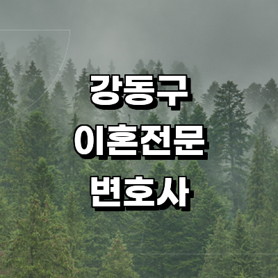 서울 강동구 이혼 변호사