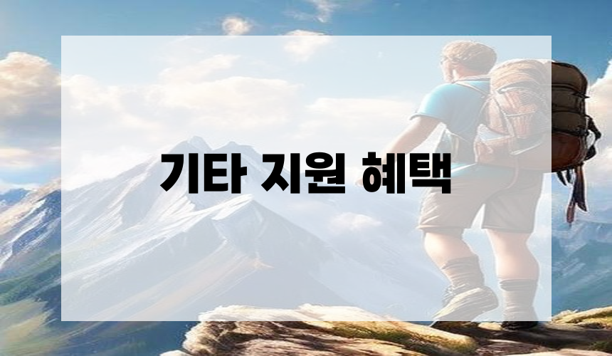 기타 지원 혜택