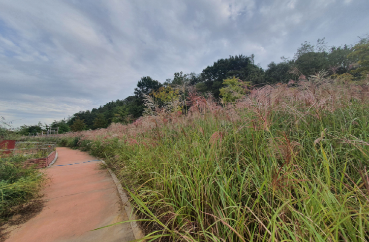 바다향기 수목원