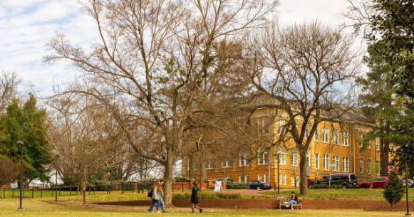 나무와 대학교 사진