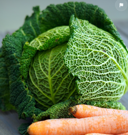 바이오테크놀로지와 농업의 혁신: 지속 가능한 미래를 위한 해답