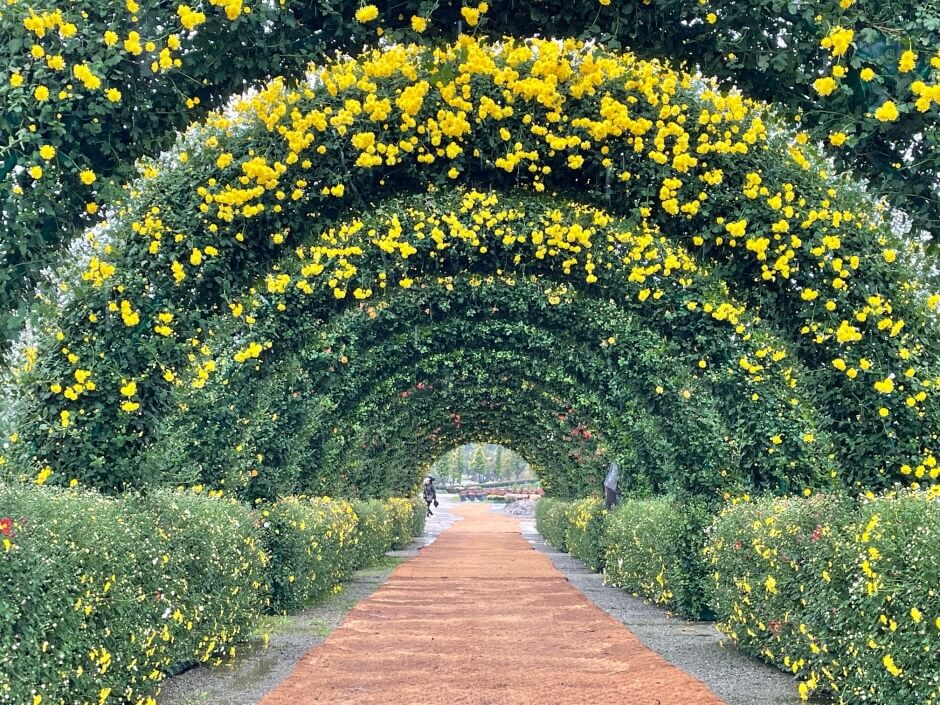 2024연천국화축제