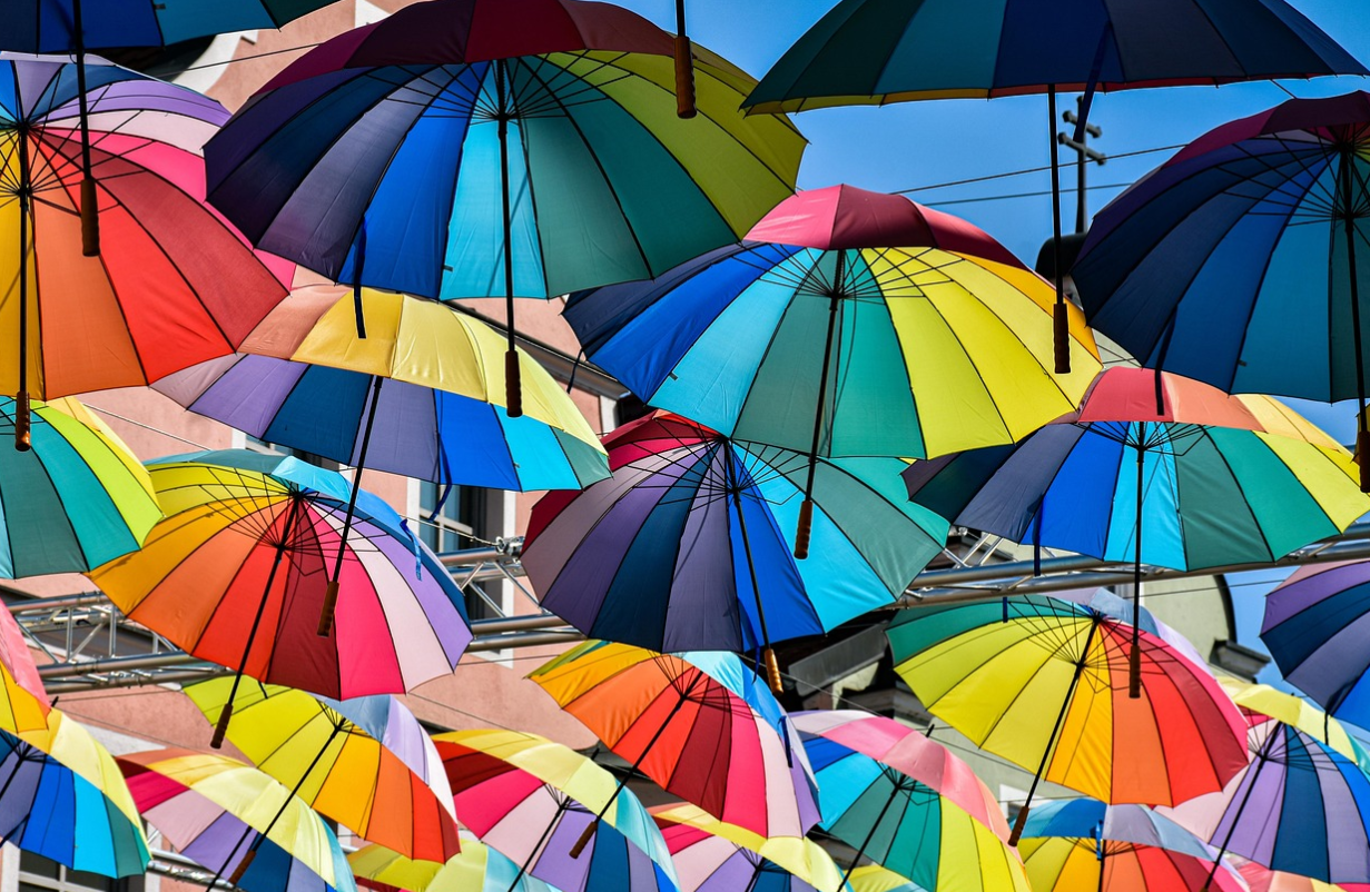 mbti별 특징 고나련사진