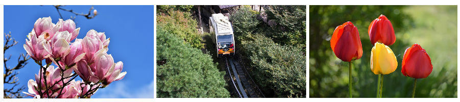 화담숲에 방문하기 최적의 시기