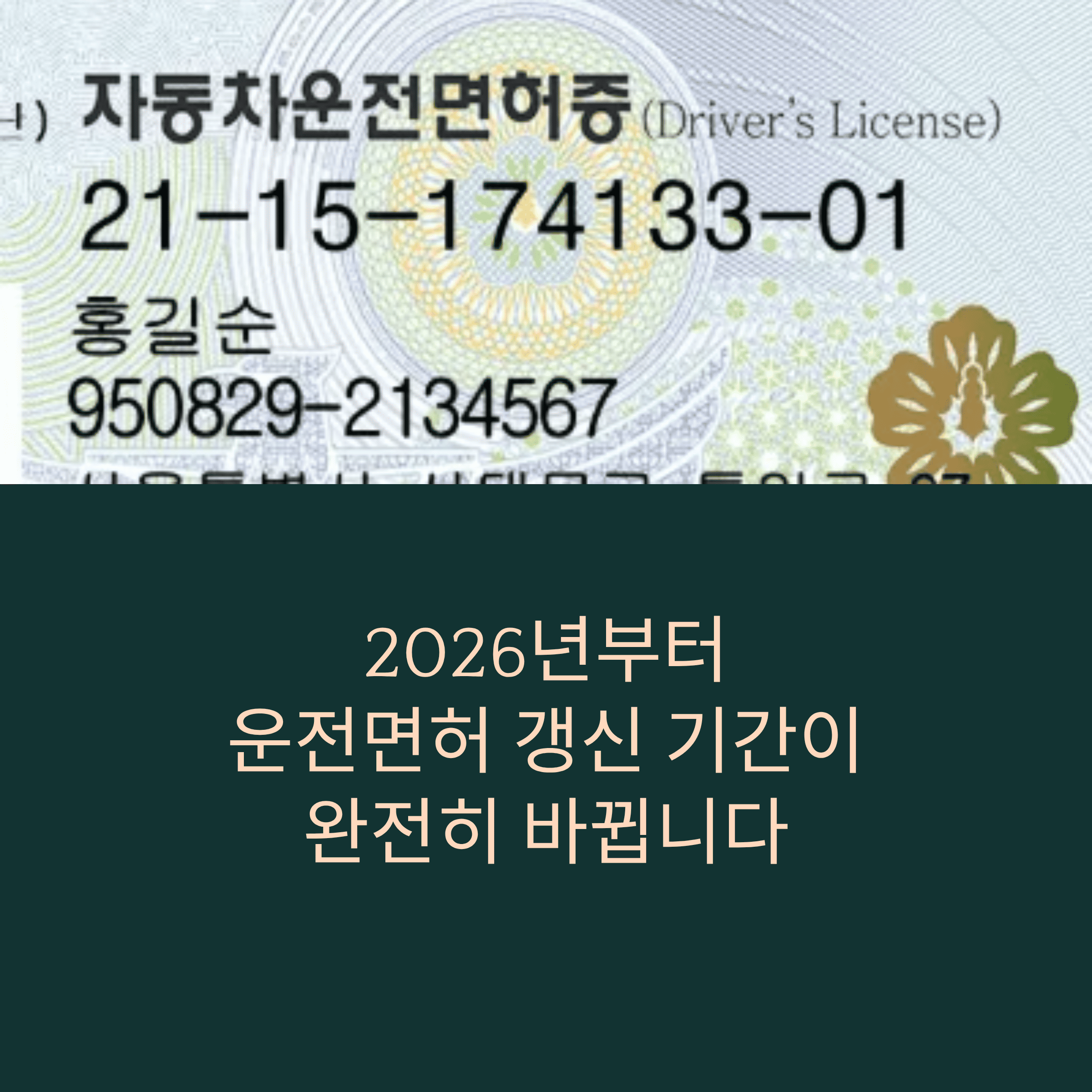 2026 운전 면허증 갱신 기간 완전 정리