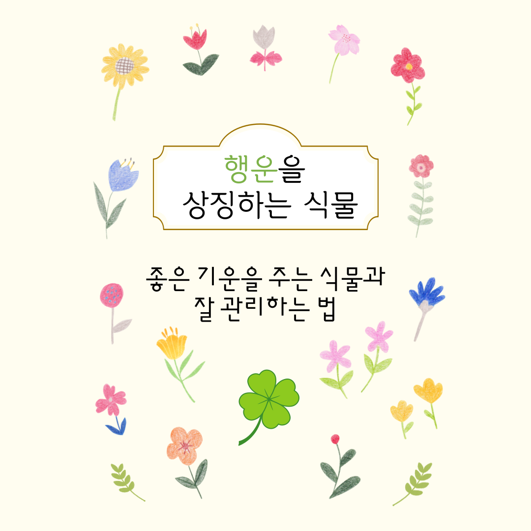 행운을 상징하는 식물과 관리하는법 알아보기