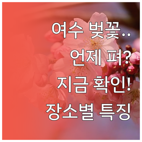 여수 벚꽃 개화 시기 만개 일정 장소..