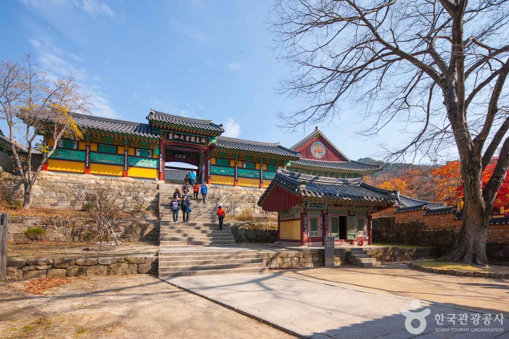 합천 해인사