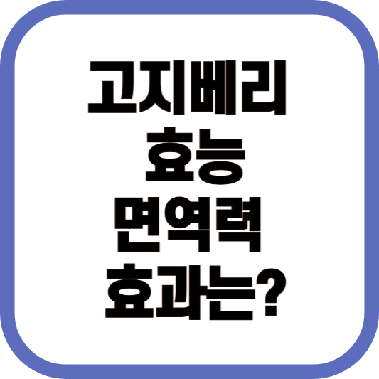 고지베리 효능 면역력 효과 이미지