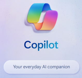 MS Copilot