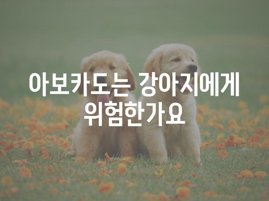 아보카도는 강아지에게 위험한가요