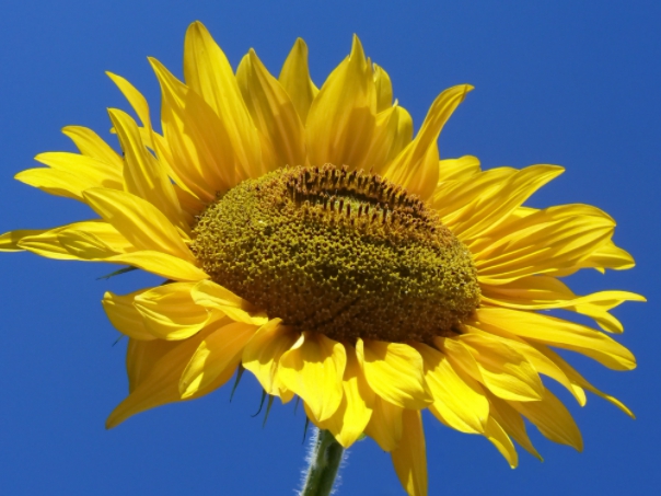 PDF 용량 줄이기