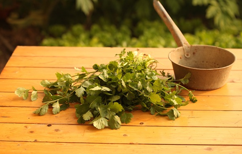 고대 그리스 의학: 히포크라테스와 갈레노스의 영향