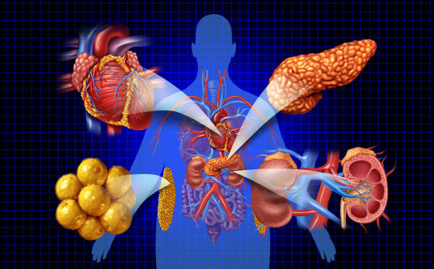 대사성 알칼리증 원인