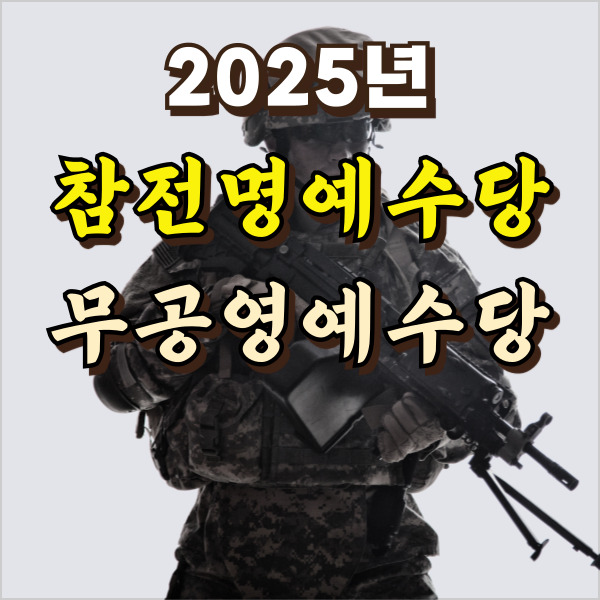 군인이 총을 들고 있어요.