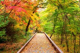 서울 가을단풍 명소 베스트 가을여행 추천