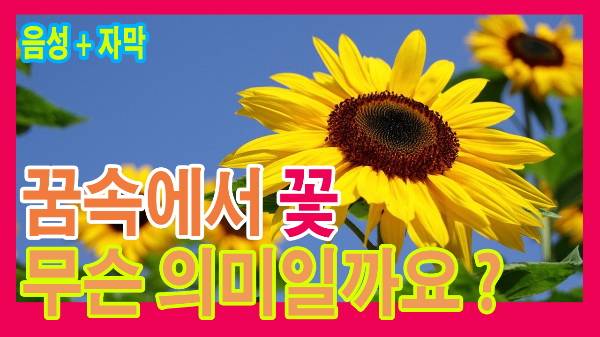 꽃꿈-꿈속에서-꽃-무슨의미일까요