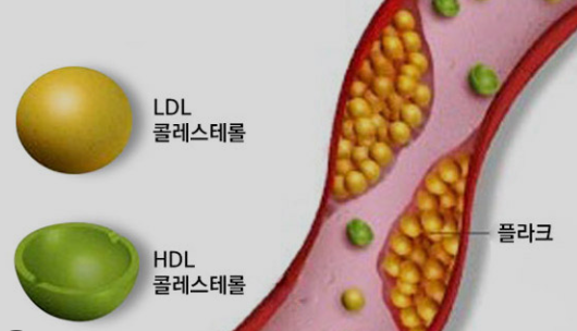 계란요리