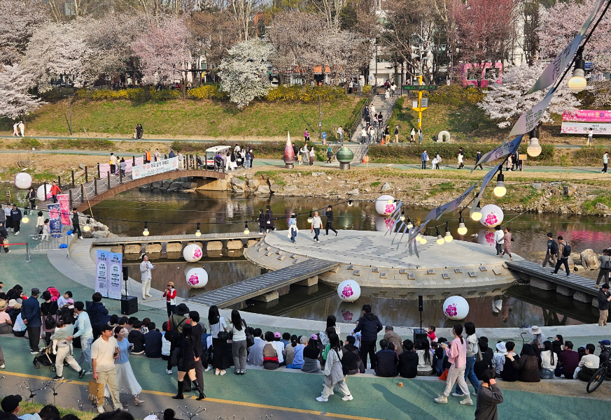 양재천 벚꽃2