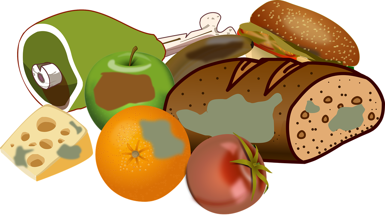 음식물 쓰레기 관련 사진