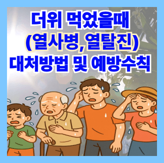 더위먹었을때 열사병열탈진 대처방법및 예방수칙