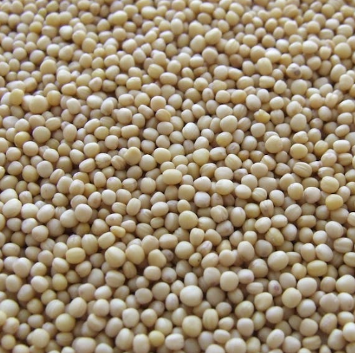 치매에 좋은 음식 10가지