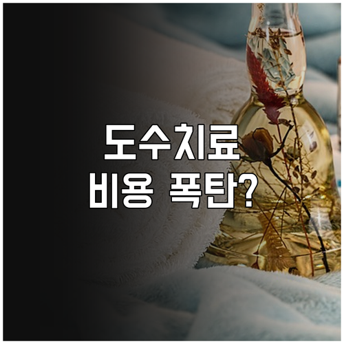 도수치료 비용 구조 변화와 혼합진료 ..